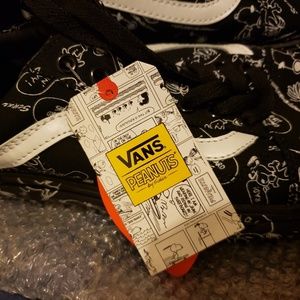 Designs of Charlie Brown and Snoopy vans.